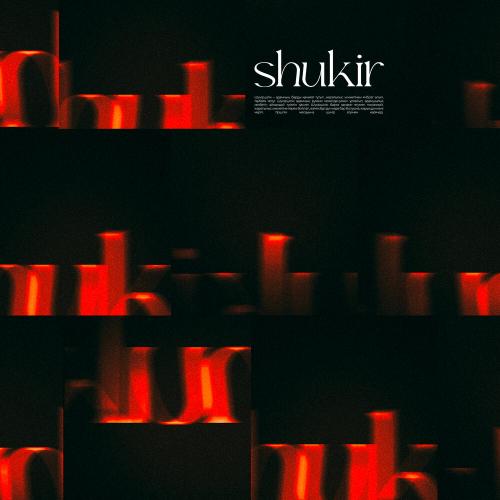 1nelyk - shukir