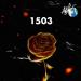 AlZaBi - 1503