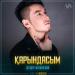 Дегдар Жолдасбай - Қарындасым