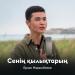 Ерлан Нарымбеков - Сенің қылықтарың