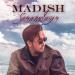 Madish - Sanamdasyn