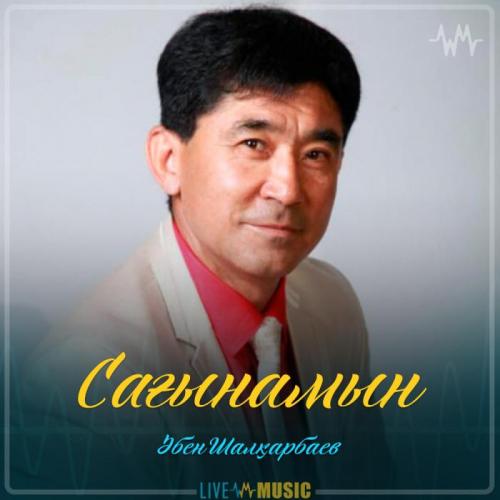 Әбен Шалқарбаев - Сағынамын