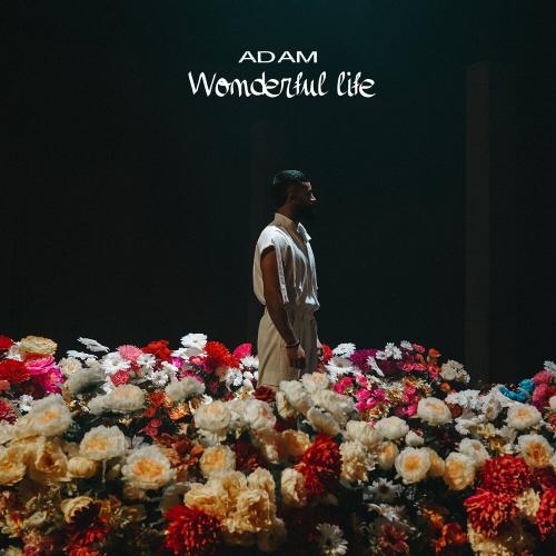 ADAM - Wonderful life