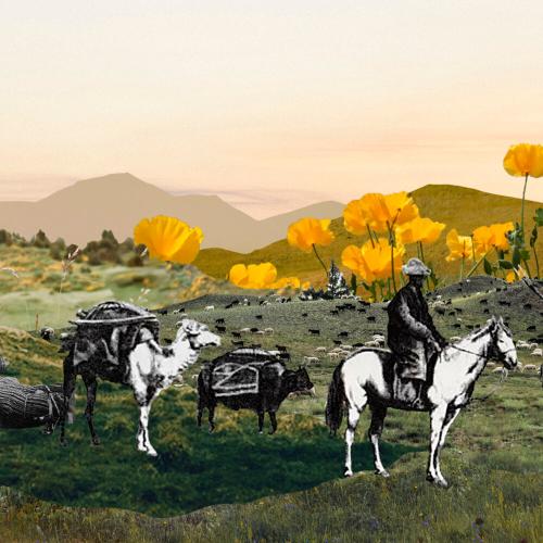 Aidhn & jeltoksan. - Бәйшешек