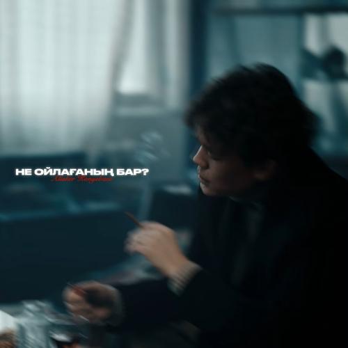 Alisher Konysbaev - Не ойлағаның бар?