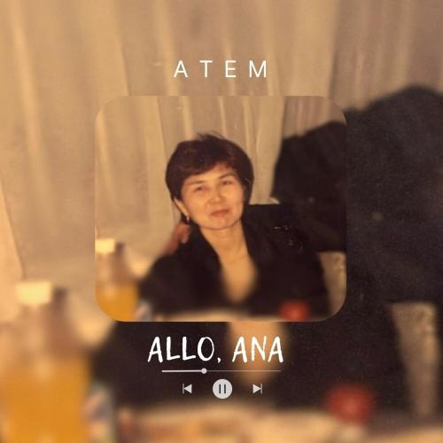AteM - ALLO ANA