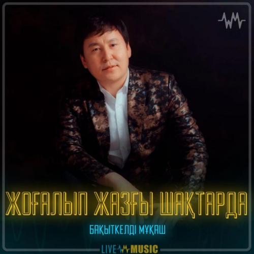 Бақыткелді Мұқаш - Жоғалып жазғы шақтарда