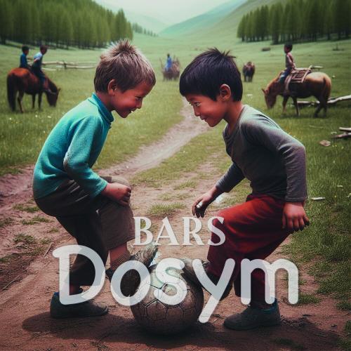 Bars - DOSYM
