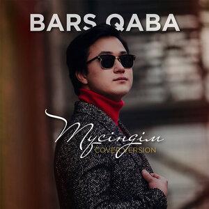 Bars Qaba - Түсіндім