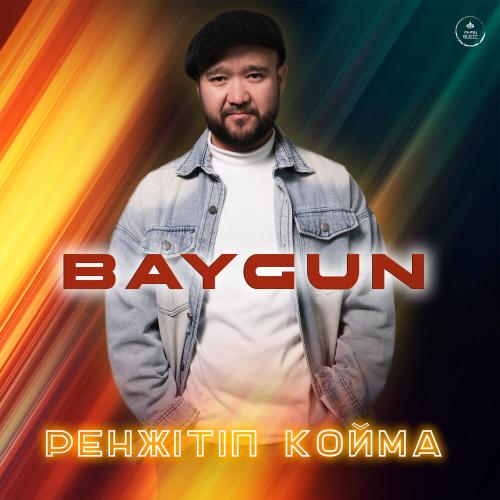Baygun - Ренжітіп қойма