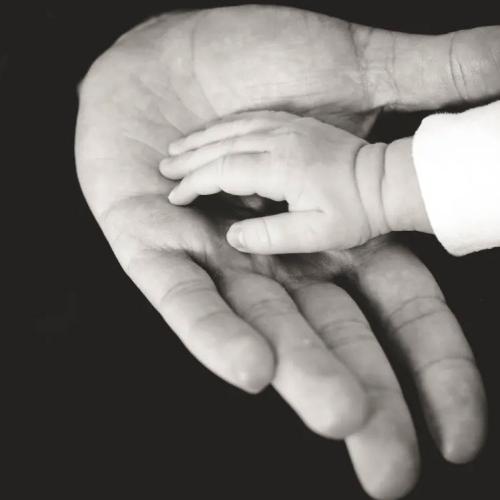 Берік Құтпанбай