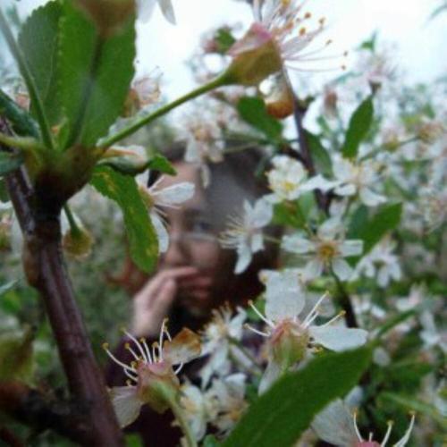 D'Lara - kasyma kelşı