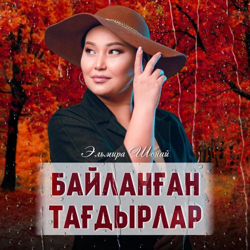 Эльмира Шонай - Байланған тағдырлар