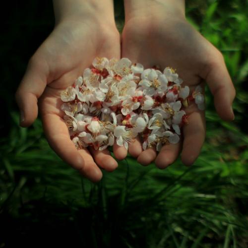 Gaarah - Bir jaqty mahabbat