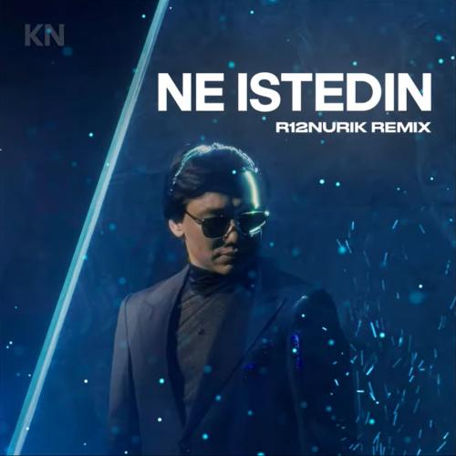 Kairat Nurtas - Не істедің (R12NURIK REMIX)