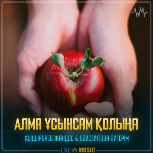 Қыдырбаев Жандос & Бәйсейітова Әйгерім - Алма ұсынсам қолыңа