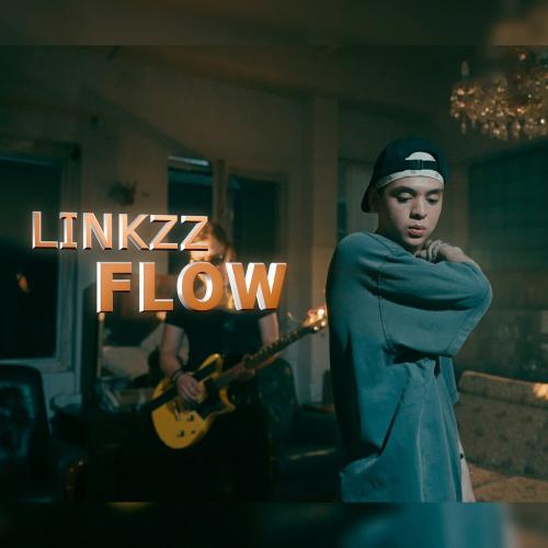 Linkzz - Flow