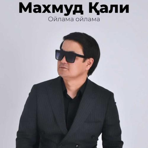 Махмуд Қали - Ойлама