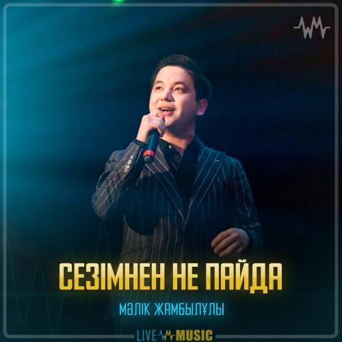 Мәлік Жамбылұлы - Сезімнен не пайда