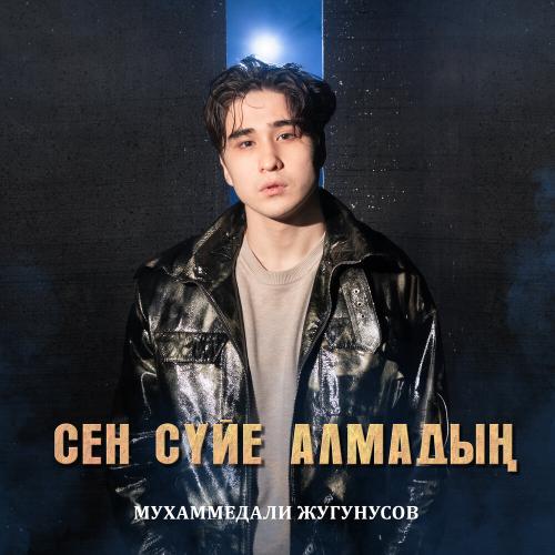 Мухаммедали Жугунусов - Сен сүйе алмадың