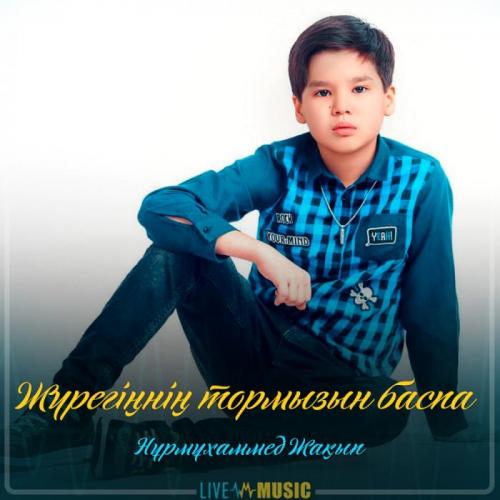 Nurmuhammed Jaqyp - Жүрегіңнің тормызын баспа