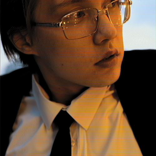 plecto - sezgim keledi