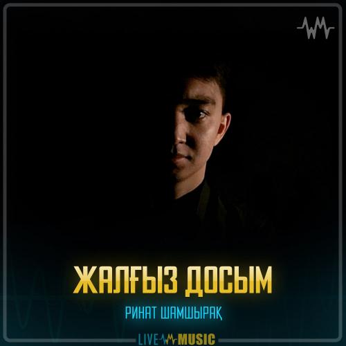 Ринат Шамшырақ - Жалғыз досым