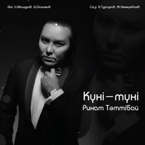 Ринат Тәттібай - Күні-түні