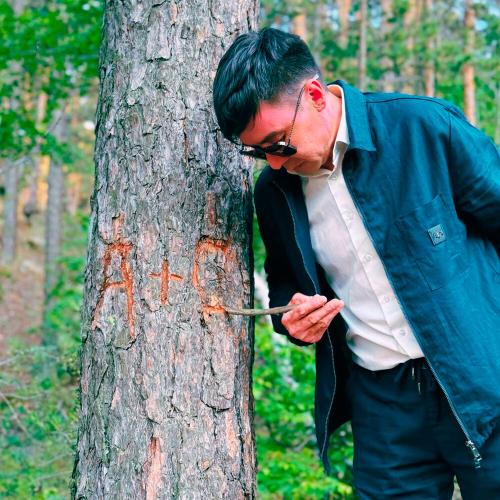 Seila - Ағаштың өміріне қызығамын