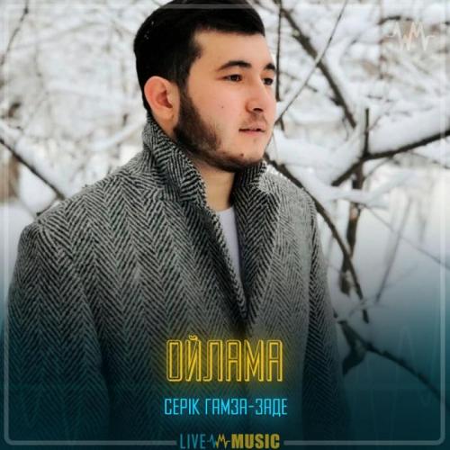 Серік Гамза-заде - Ойлама