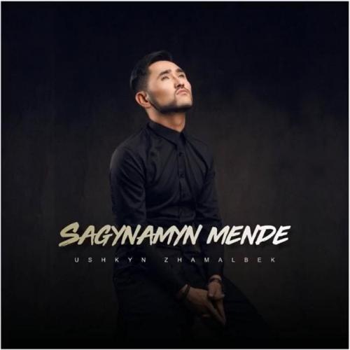 Ұшқын Жамалбек - Сағынамын менде (2018)