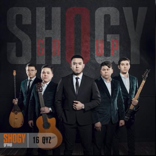 Shogy qroup