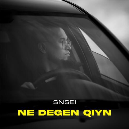 Snsei - Ne degen qiyn
