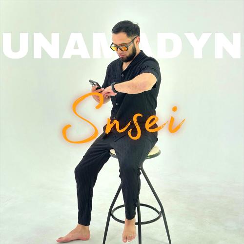 Snsei - Unamadyn
