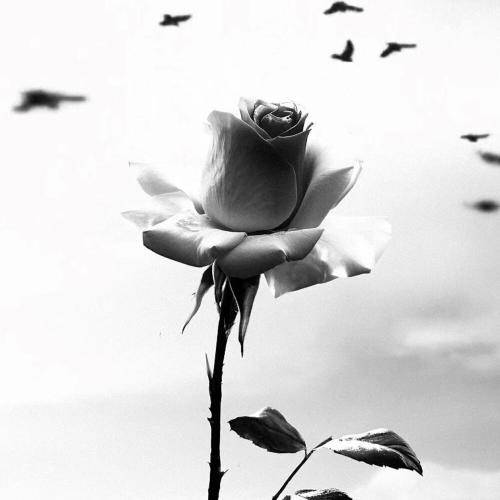 Ulan - Qalqam (Slow Version)