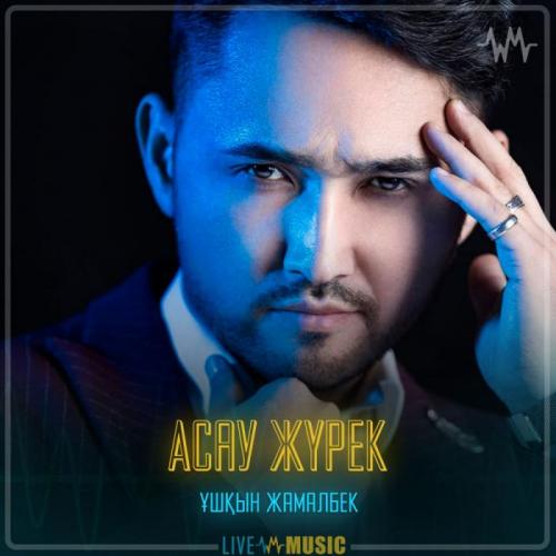 Ұшқын Жамалбек - Асау жүрек