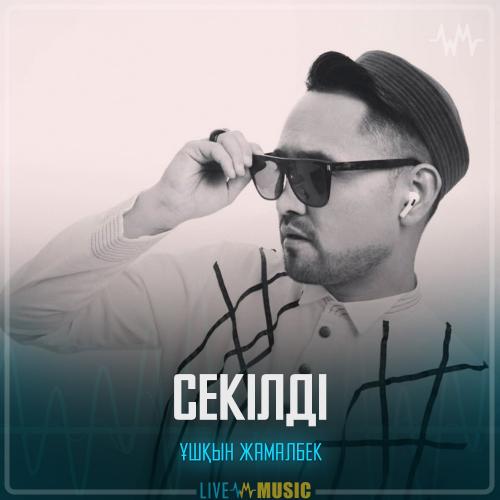 Ұшқын Жамалбек - Секілді