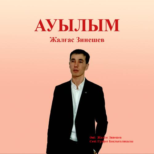 Жалгас Зинешев - Ауылым